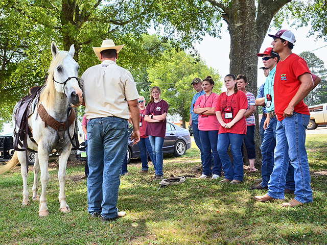 MSUâ€™s Corey White shares basic horsemanship skills and tips on choosing and caring for tack, Image by Victoria G. Myers